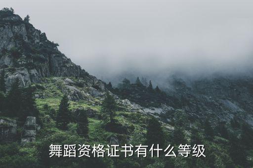 四川省舞蹈考级内容,舞蹈一级考级内容都有什么