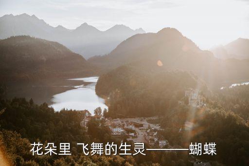 蝶花飞舞舞蹈简介,长绸舞蹈蝶花飞舞完整版