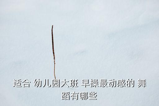 幼儿舞蹈教学道具早操视频