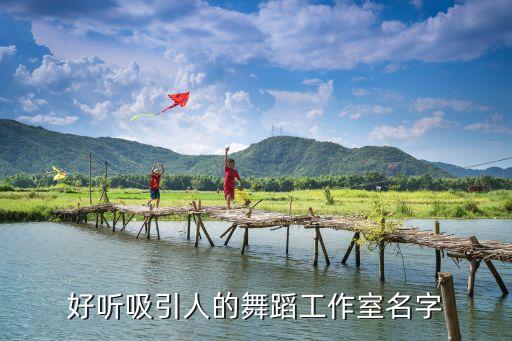 国家舞蹈队名称大全,中老年舞蹈队名称大全