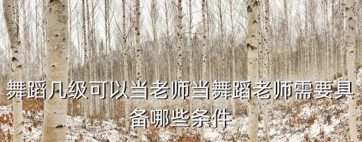 中国舞蹈家协会考级办申请