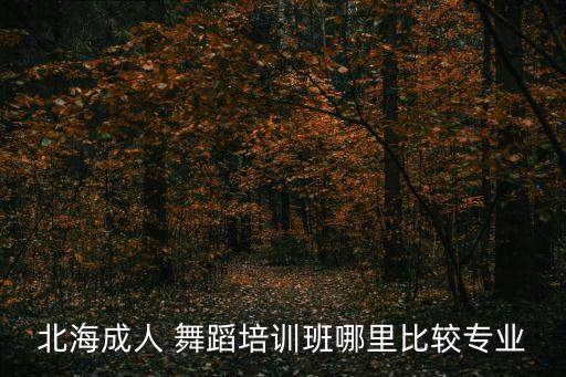 畅芭蕾舞蹈艺术中心,天鹅湖少儿芭蕾舞蹈艺术中心