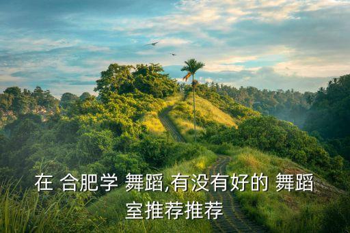 合肥成人舞蹈机构,合肥哪里有成人舞蹈培训班