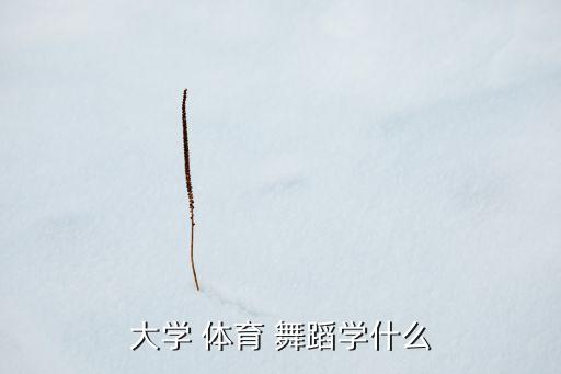 什么是体育舞蹈.,拉丁舞为什么是体育舞蹈