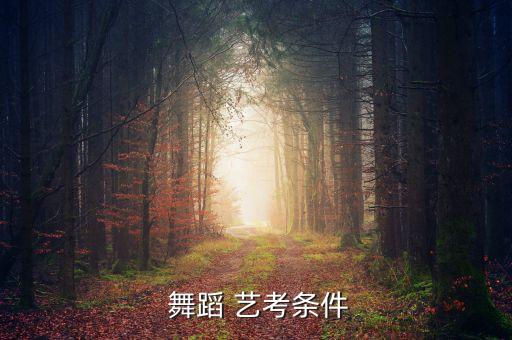 艺考舞蹈怎样考,舞蹈艺考可以考哪些学校