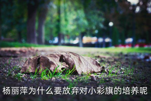 对舞蹈情有独钟,舞蹈情有独钟POP