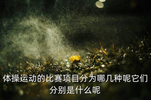 教学竞技吊环舞蹈在哪里