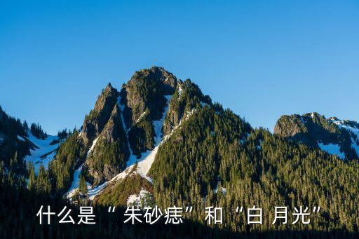 白月光与朱砂痣 舞蹈教程