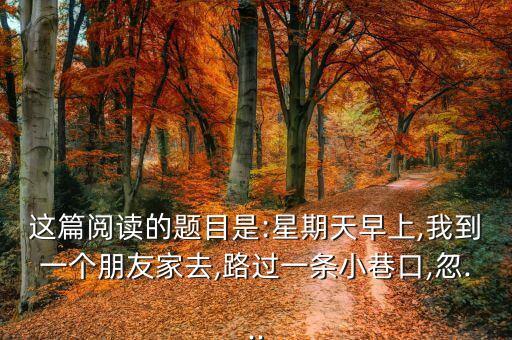 花一样的姑娘舞蹈介绍,有位姑娘舞蹈介绍词怎么写