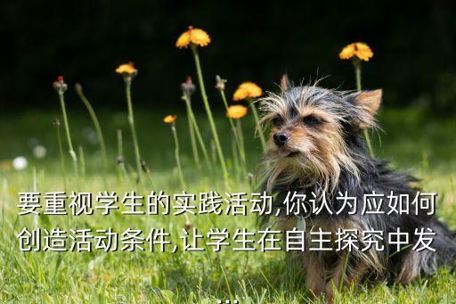 舞蹈 快乐学堂,91118快乐学堂