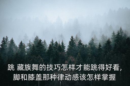 教会藏族舞蹈,教会最新最好舞蹈视频