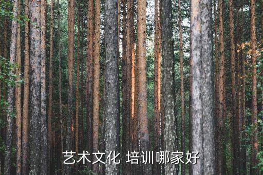 武汉舞蹈培训加盟,北京红舞鞋舞蹈培训加盟电话