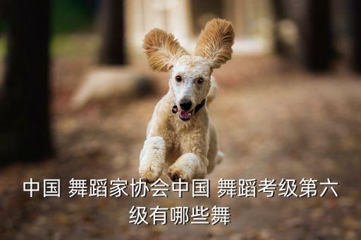 小花腰 舞蹈视频教程,练腰舞蹈视频教程