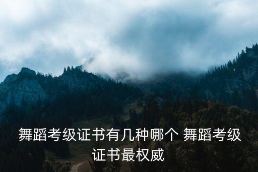 2017华彩舞蹈师资培训