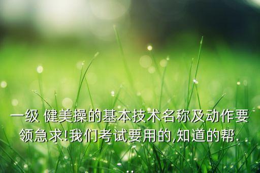 健美操火花舞蹈视频大全,简单的健美操舞蹈视频大全