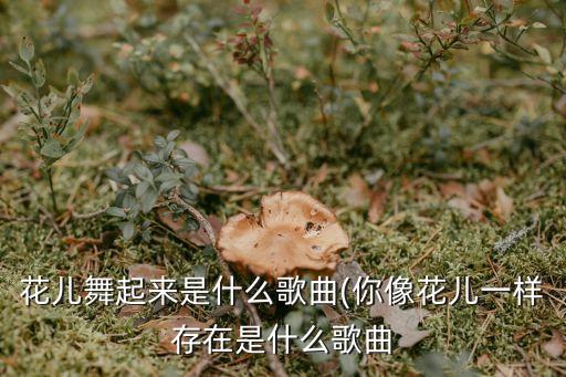 我们是世上的光舞蹈,我是世上光舞蹈视频