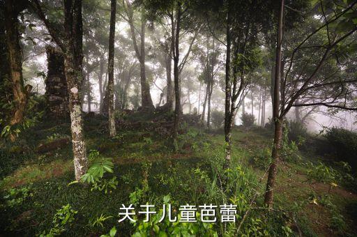 北京舞蹈学校少儿芭蕾舞,芭蕾舞少儿舞蹈小天鹅视频