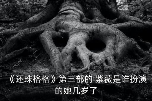 舞蹈学院漂亮妹子紫薇