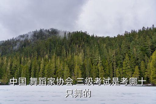 三级舞蹈滴滴答视频,幼儿舞蹈滴滴答教学视频