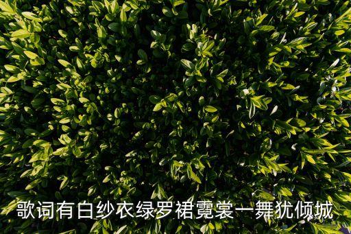 壶纱舞蹈2017年