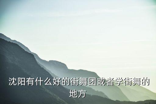 沈阳舞蹈培训学校初中,舞蹈艺考培训学校