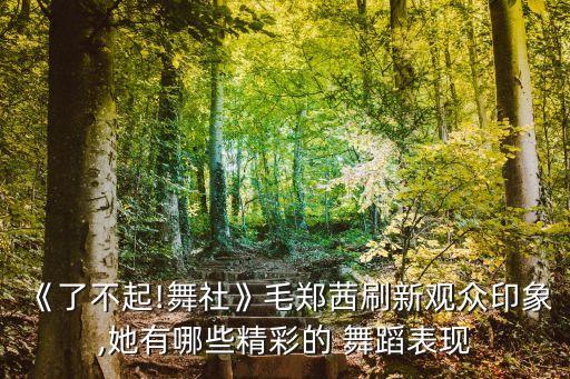 旗袍舞蹈大赛,旗袍伞舞蹈视频大全一等奖