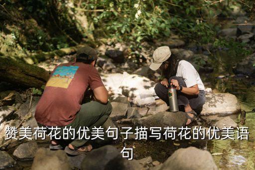 关于莲花摸舞蹈视频,杨丽萍的莲花舞蹈视频