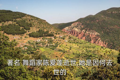 中国歌舞剧院舞蹈白毛女,白毛女北京歌舞剧院