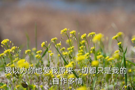 自作多情舞蹈教学视频云儿