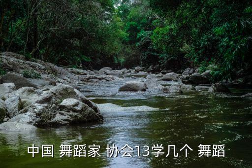舞蹈协会考级三级曲目,中国舞蹈家协会考级三级舞蹈数星星