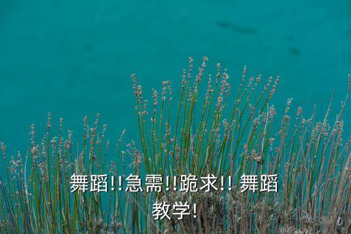美女舞台上舞蹈教学视频,最好的舞台舞蹈教学分解动作