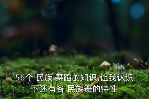儿童民族舞蹈格格格,民族舞蹈六级考级小格格