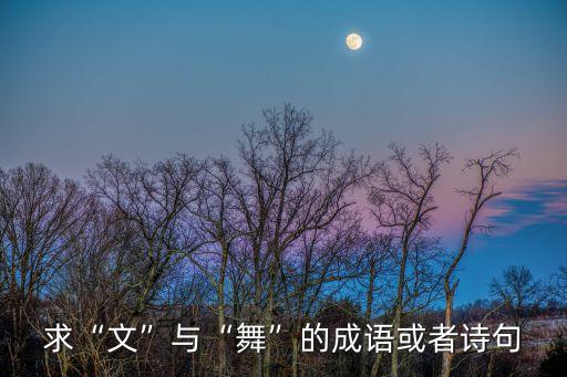 不白活一回舞蹈,歌曲不白活一回毛阿敏