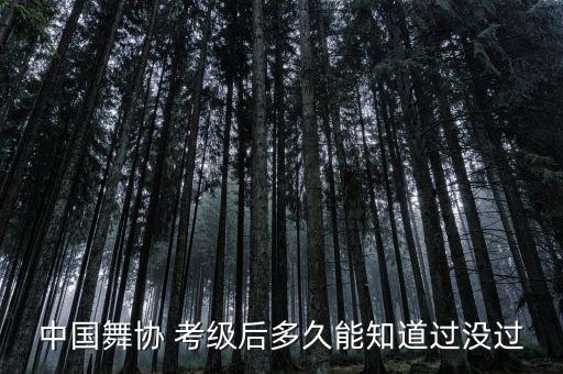 2017中国舞蹈考级时间