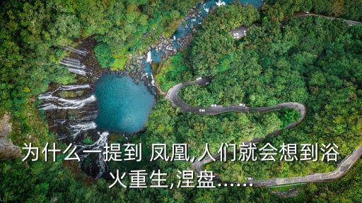 舞蹈凤凰涅盘,凤凰涅盘浴火重生的意思