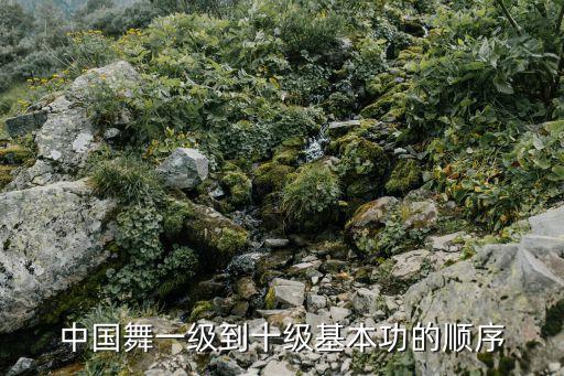 舞蹈半蹲概念,半蹲100公斤什么概念