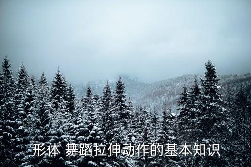 形体舞蹈简单易学完整版,年会舞蹈视频简单易学完整版