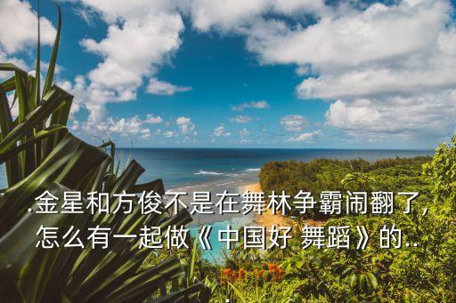 中国好舞蹈海清组成员