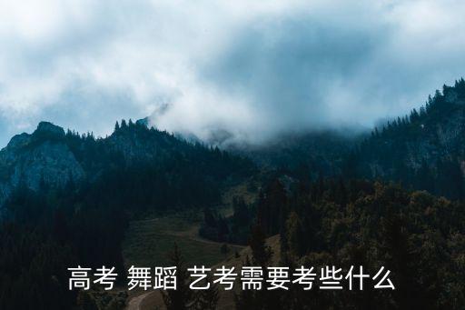 2016年体育舞蹈艺考,体育舞蹈艺考集训要花多少钱