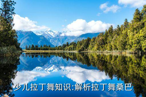 舞蹈摇摆绅士分解,一起摇摆舞蹈分解教学视频