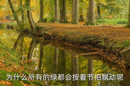 绿都舞蹈徐钦