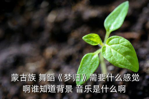 蒙古族舞蹈纯音乐