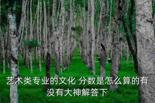 南艺舞蹈编导如何计算分数