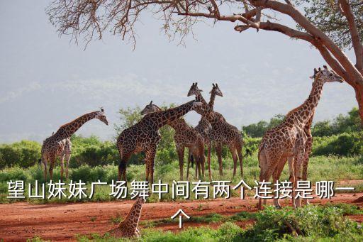 两座山的舞蹈组合过程
