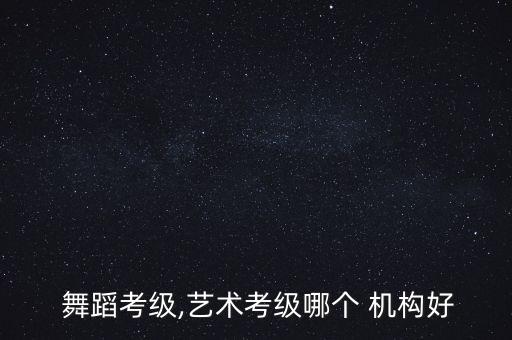 中国舞蹈机构简介