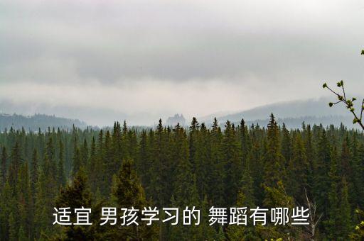 壮族的幼儿舞蹈男孩,幼儿大班男孩舞蹈视频大全