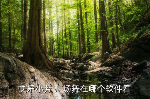 广场舞舞蹈演出畈