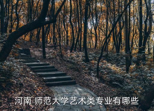 师范大学舞蹈表演是是什么,湖北师范大学专升本舞蹈表演