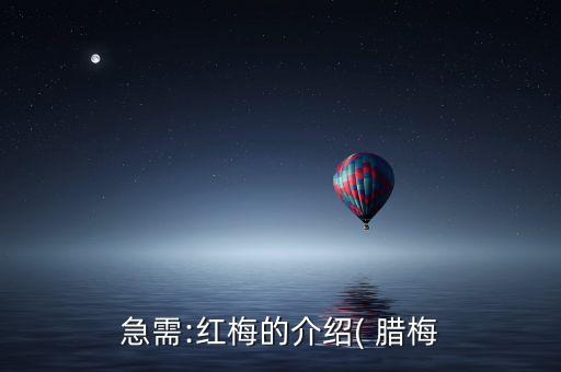 儿童考七级舞蹈腊梅花