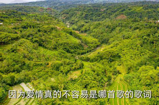 舞蹈我爱爱爱着你,哈哈哈我爱着你的舞蹈